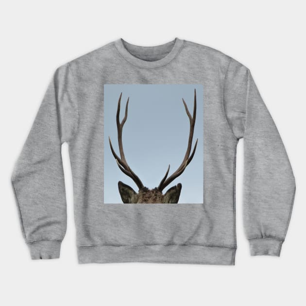 Close up of a Highland Stag Crewneck Sweatshirt by Madeinthehighlands